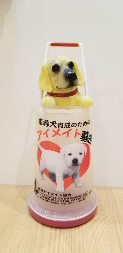 コンタクトレンズ井上 西葛西店 株式会社メガネ コンタクトの井上