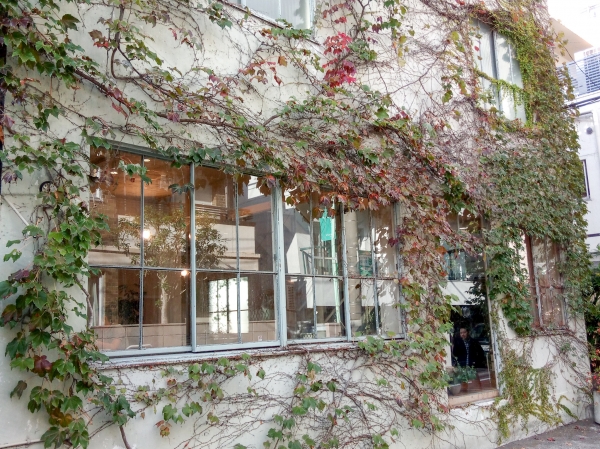 秋の展示会　ＮＯ2